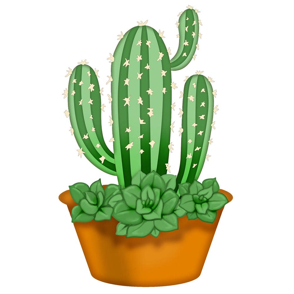 Autocolante Pixerstick Vector sem costura desenhado a mão com padrão de  cactos e suculentos. Cactus i…